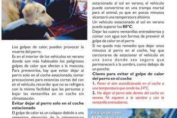 Moka Magazine  presentó este viernes su número especial de verano 2018 (Foto TA)